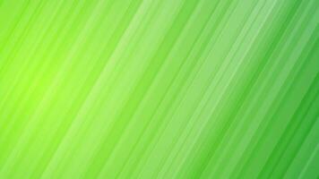 Modern colorful gradient background with lines vector