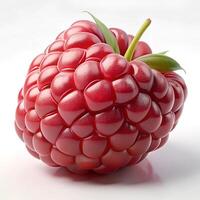 raspberry isolated on white background photo