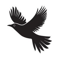 Silhouette of a flying dove on a white background vector