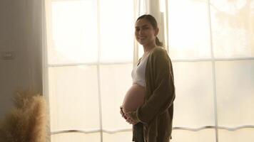 Expecting Joy During Soft Morning Light in a Cozy Indoor Setting With a Radiant Mother-To-Be video