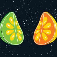 Citrus in Space A Cosmic Fruit Design vector