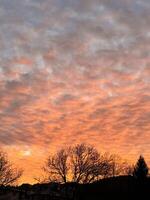 Vibrant sunset sky with silhouetted trees and colorful clouds photo