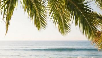 A beach with palm trees and a view of the ocean photo