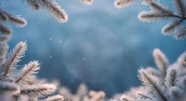 Winter background with snow and branches photo