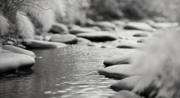 A black and white photo of a stream with rocks and grass