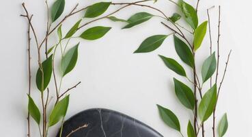 A black stone with leaves and branches on a white surface photo