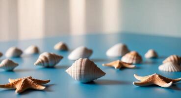 A group of shells and starfish on a blue table photo
