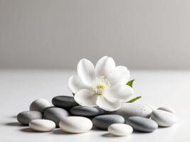 White flower and stones on white background photo