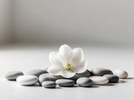White flower and stones on a white background photo