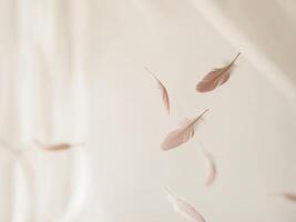 A white sheet with pink feathers flying in the air photo