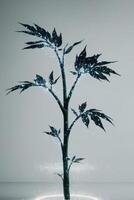 A plant with glowing leaves on a table photo