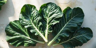 A close up of three large green leaves photo