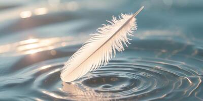 A feather is floating on a surface of water photo