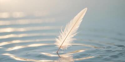 A feather is floating on a surface of water photo