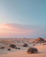Desert landscape with trees and sand dunes at sunset photo