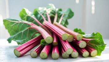 A bunch of rhubarb on a white surface photo