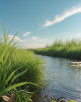 A river running through a field of grass photo