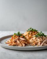 Elegant Plate with Two Styles of Shredded Chicken Designed for Culinary Inspiration and Meal Prep Versatility photo