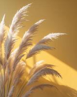 Bright yellow background with soft pampas grass creating a warm and inviting atmosphere photo