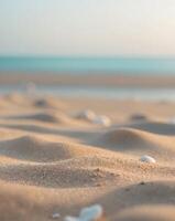 A beach with shells and sand photo