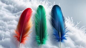 three different colored feathers are lined up on a white surface photo