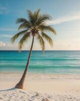 Tropical beach with coconut palm tree and turquoise sea photo