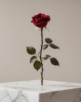 Single Red Rose on Elegant Marble Surface for Minimal Design Background photo