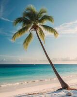 Tropical beach with coconut palm tree and turquoise sea photo