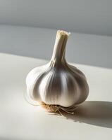 Close up of the vitality of freshly picked garlic photo