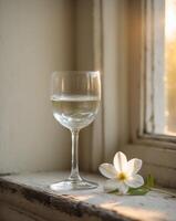 A white flower and a wine glass on a window sill photo