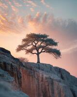 Solitary tree on rocky cliff under dramatic sky at dusk with soft clouds photo