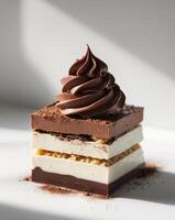 A piece of chocolate cake with a chocolate frosting photo
