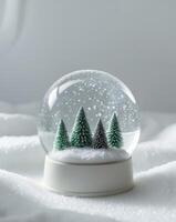A snow globe with trees inside photo
