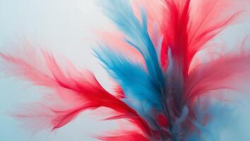 A close up of a red and blue feather photo