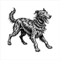 Irish Wolfhound Dog Running vector