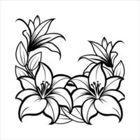 Lily Border . vector