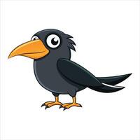 Realistic Crow Drawings vector