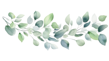 Beautiful watercolor painting of eucalyptus branches for nature themed design generative . png