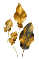 magnifique gris et d'or artificiel feuille brindille ensemble sur Contexte. png
