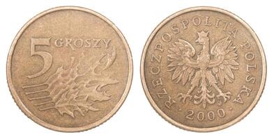 Polish zlote coin photo