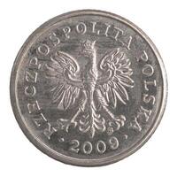 polish 20 groszy coin photo