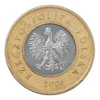 Polish Zloty coin photo
