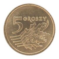 Five Polish groszy coin photo