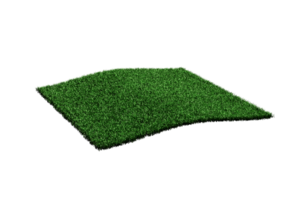 Rectangular Shape Green Grass Field 3D Illustration png