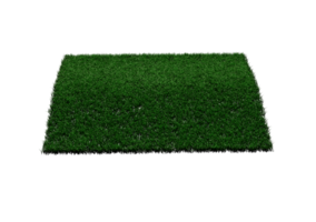 Rectangular Shape Green Grass Field 3D Illustration png