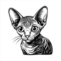 Devon Rex Cat vector