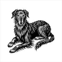Irish Wolfhound Dog lying down vector