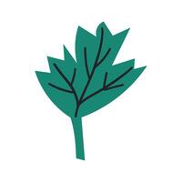 Parsley herb icon. filled flat sign for mobile concept and web design. Parsley leaf glyph icon. Symbol, logo illustration. graphics vector