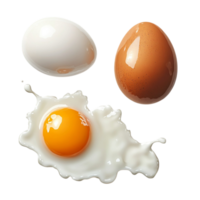 Raw Egg with Yolk png