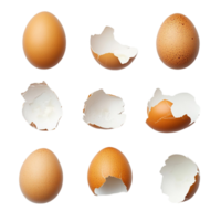 Whole Eggs and Cracked Shells png